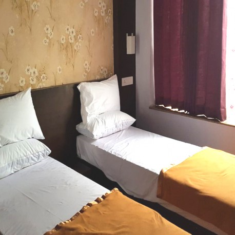 Twin Suite